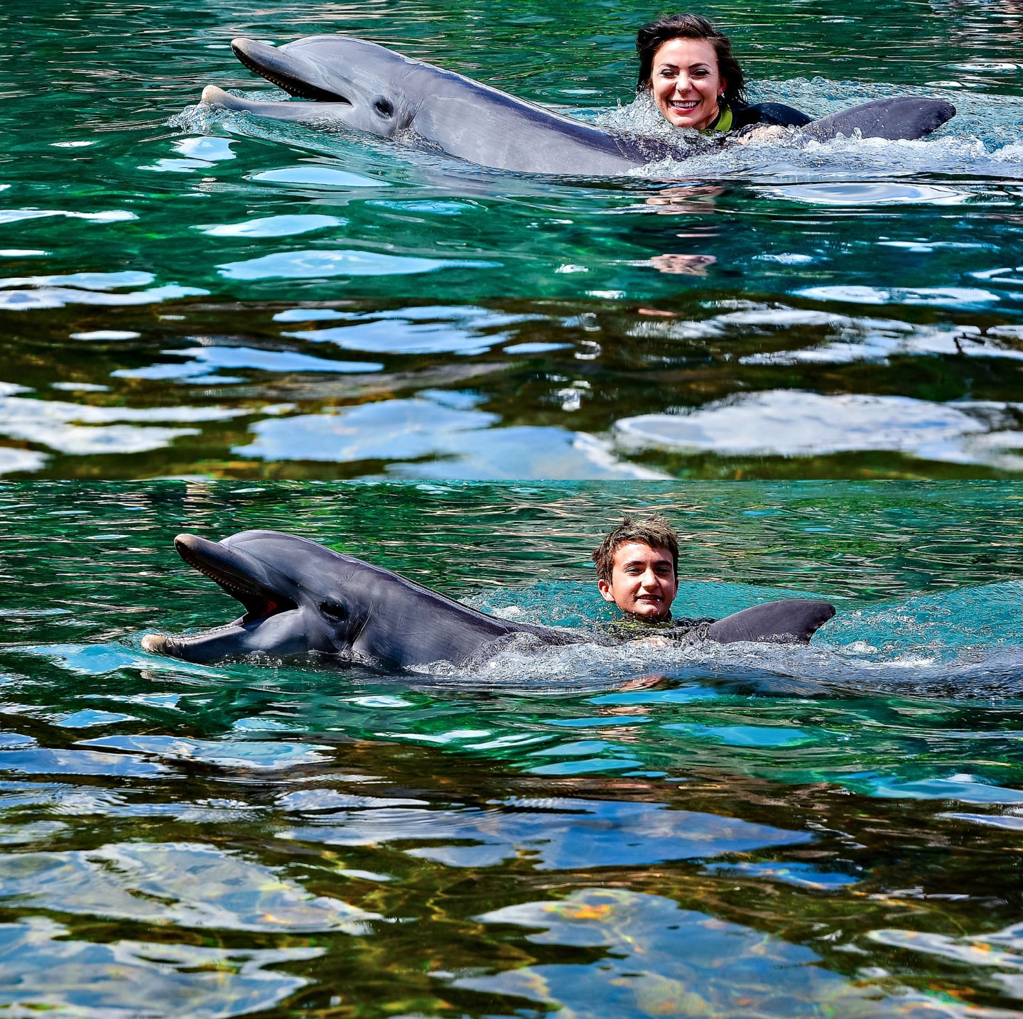 Things to Do in Orlando // Discovery Cove AllInclusive