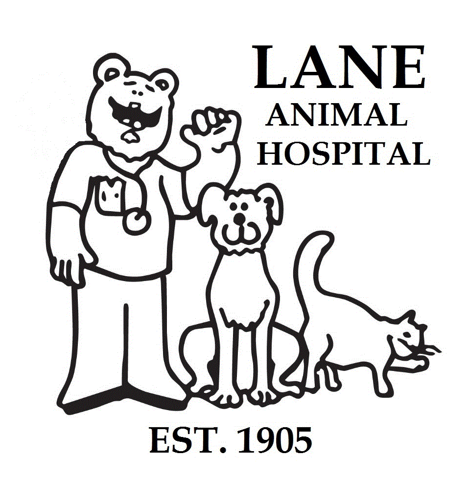 Lane Animal Hospital and its current services Chelsea Update Chelsea