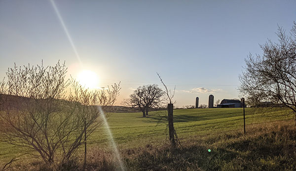 Grass Lake Sesquicentennial Farm Protected Forever Chelsea Update