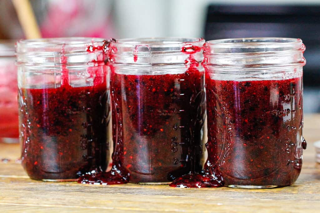 Blackberry Freezer Jam Recipe & Tutorial Chelsweets