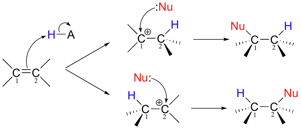 15.2 Electrophilic addition Chemistry LibreTexts
