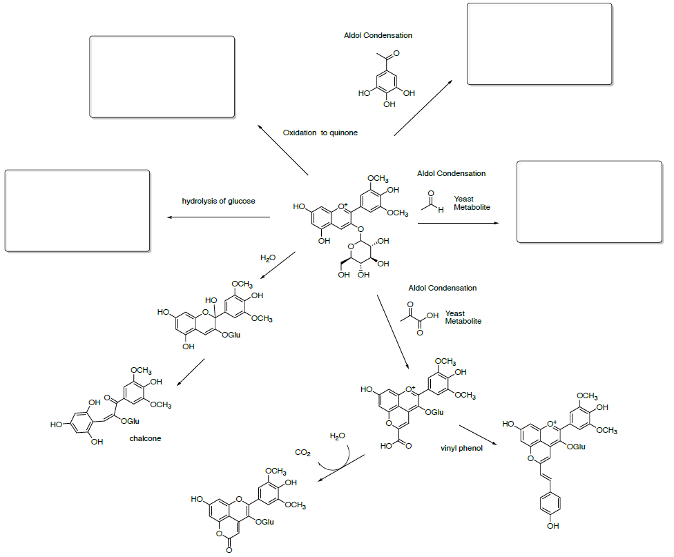1.15 Wine Chemistry LibreTexts