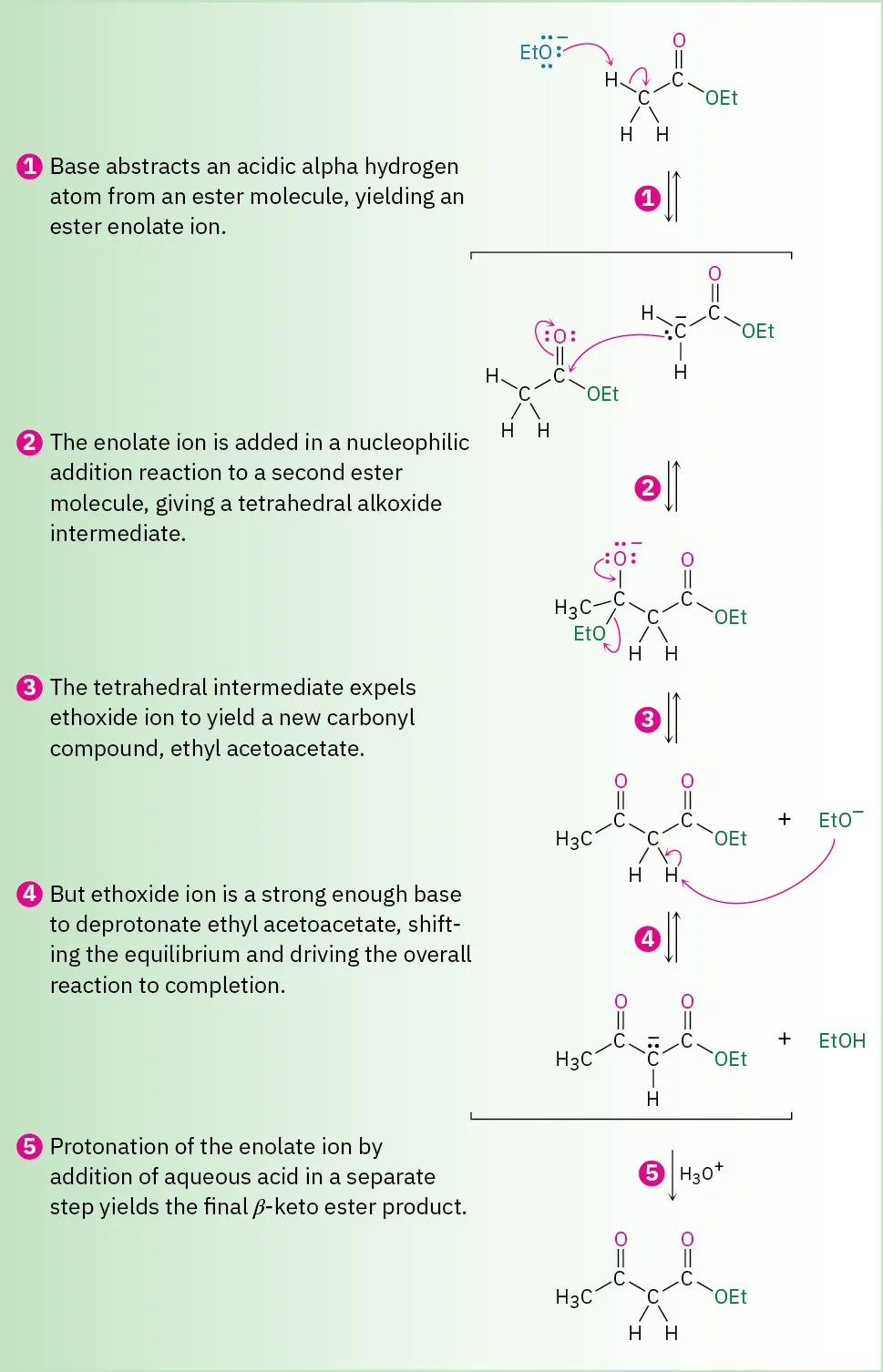 23.8 The Claisen Condensation Reaction Chemistry LibreTexts