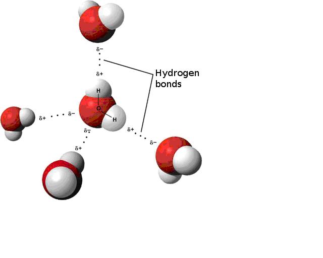 Water on Earth Chemistry LibreTexts