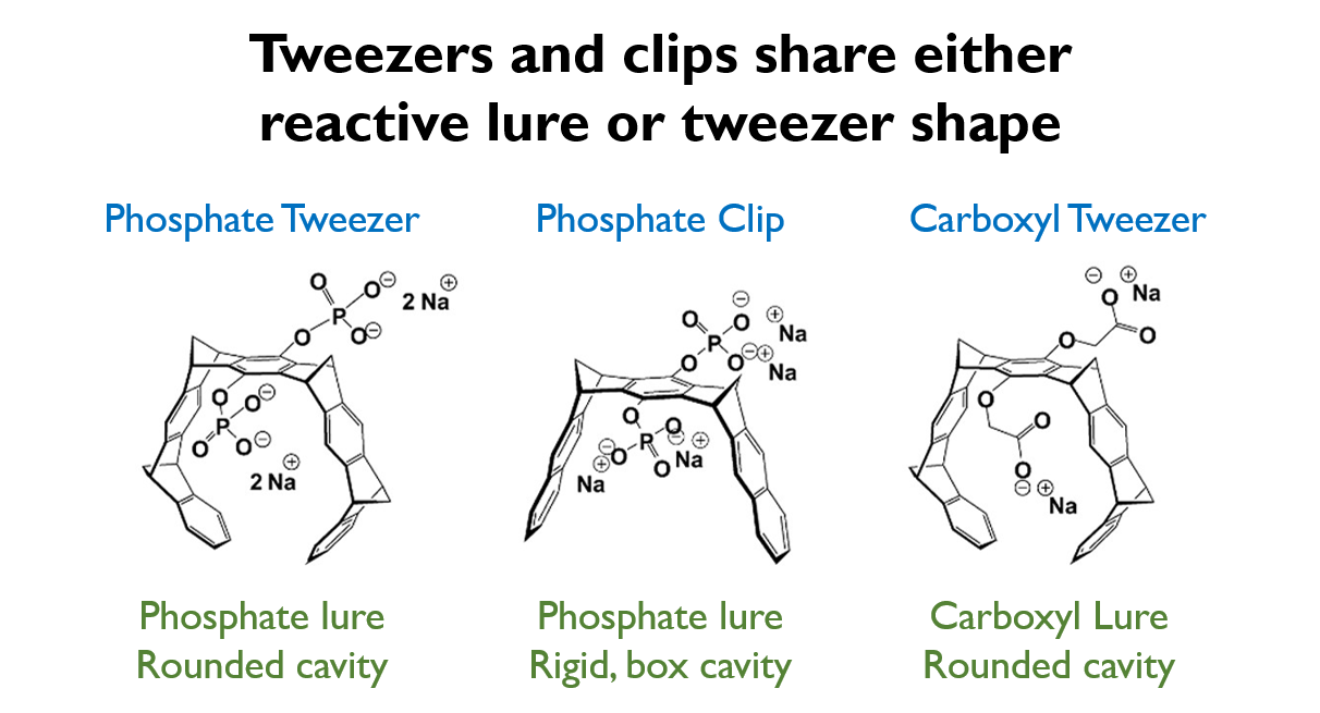 Molecular tweezers pick viral membranes apart Chembites
