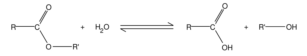 Ester Definition, Examples And Facts Chemistry Dictionary