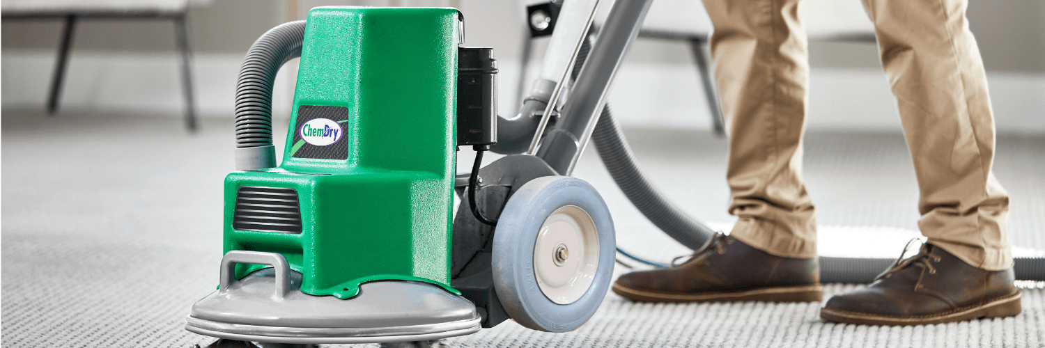 Carpet Care Tips ChemDry Carpet Cleaning by Warren
