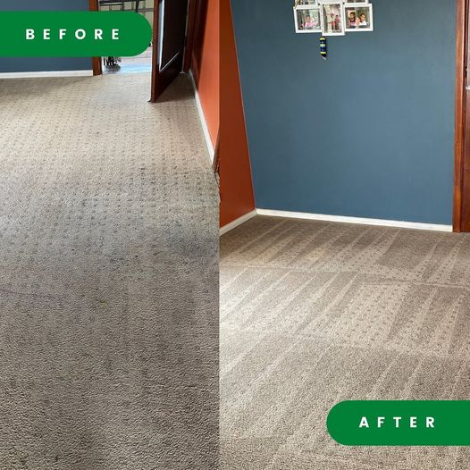 Albury Wodonga Professional Carpet Cleaning Company ChemDry Care