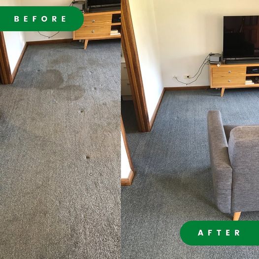 Residential Commercial Carpet and Upholstery Cleaning Albury Wodonga