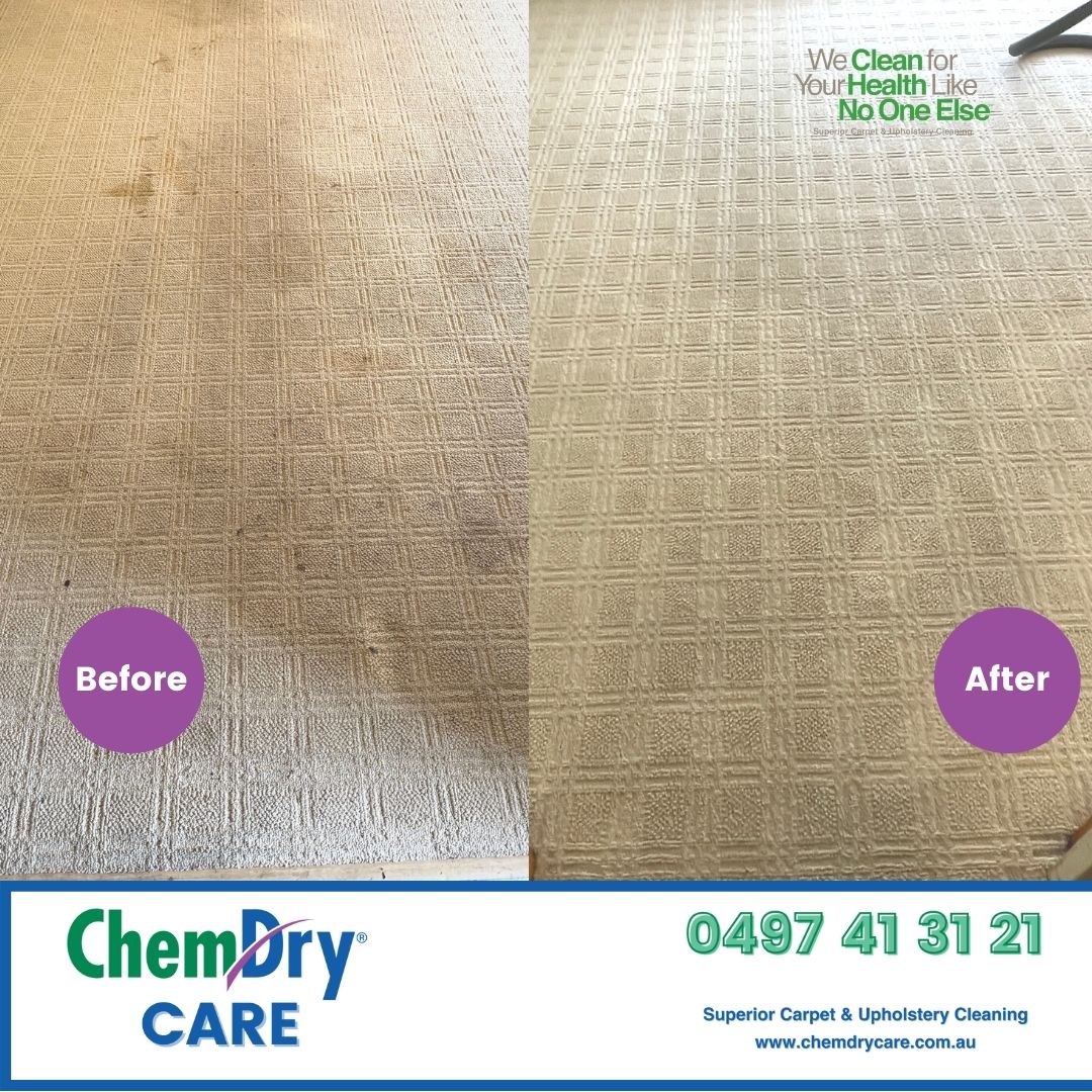 Albury Wodonga Professional Carpet Cleaning Company ChemDry Care