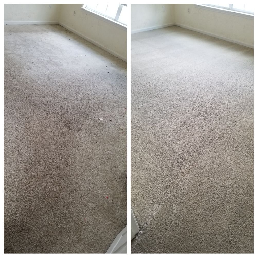 Carpet Cleaning Jacksonville Nc Prices at Glen Benefiel blog