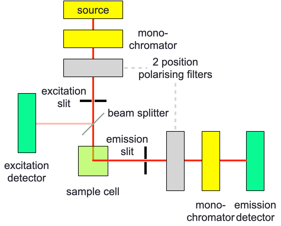 Chapter 5 Fluorescence Anisotropy & Applications of Fluorescence CH3
