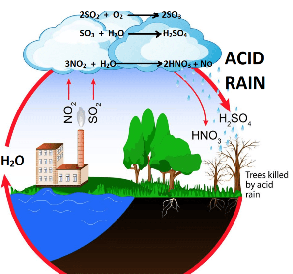 A brief note on Phosphorus, Boron, Silicon, Noble gases and Environmental Pollution for class 11.