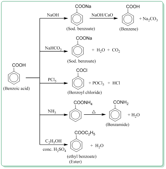 Carboxylic acids Class 12 Chemistry Notes