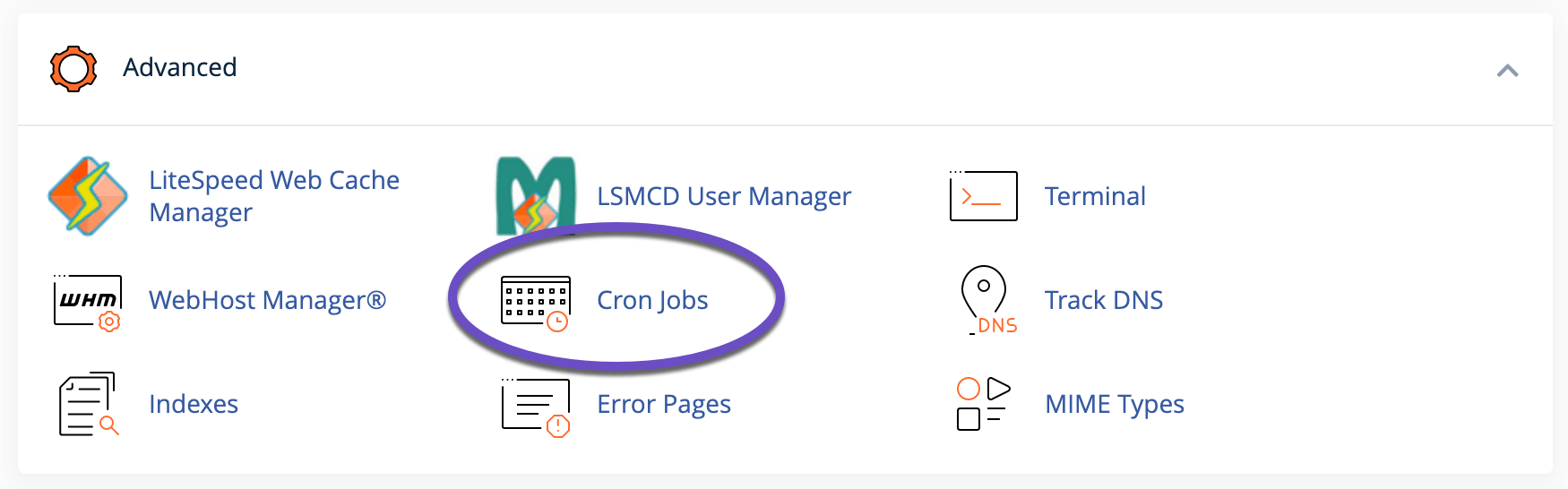How to Setup and Manage Cron Jobs in cPanel