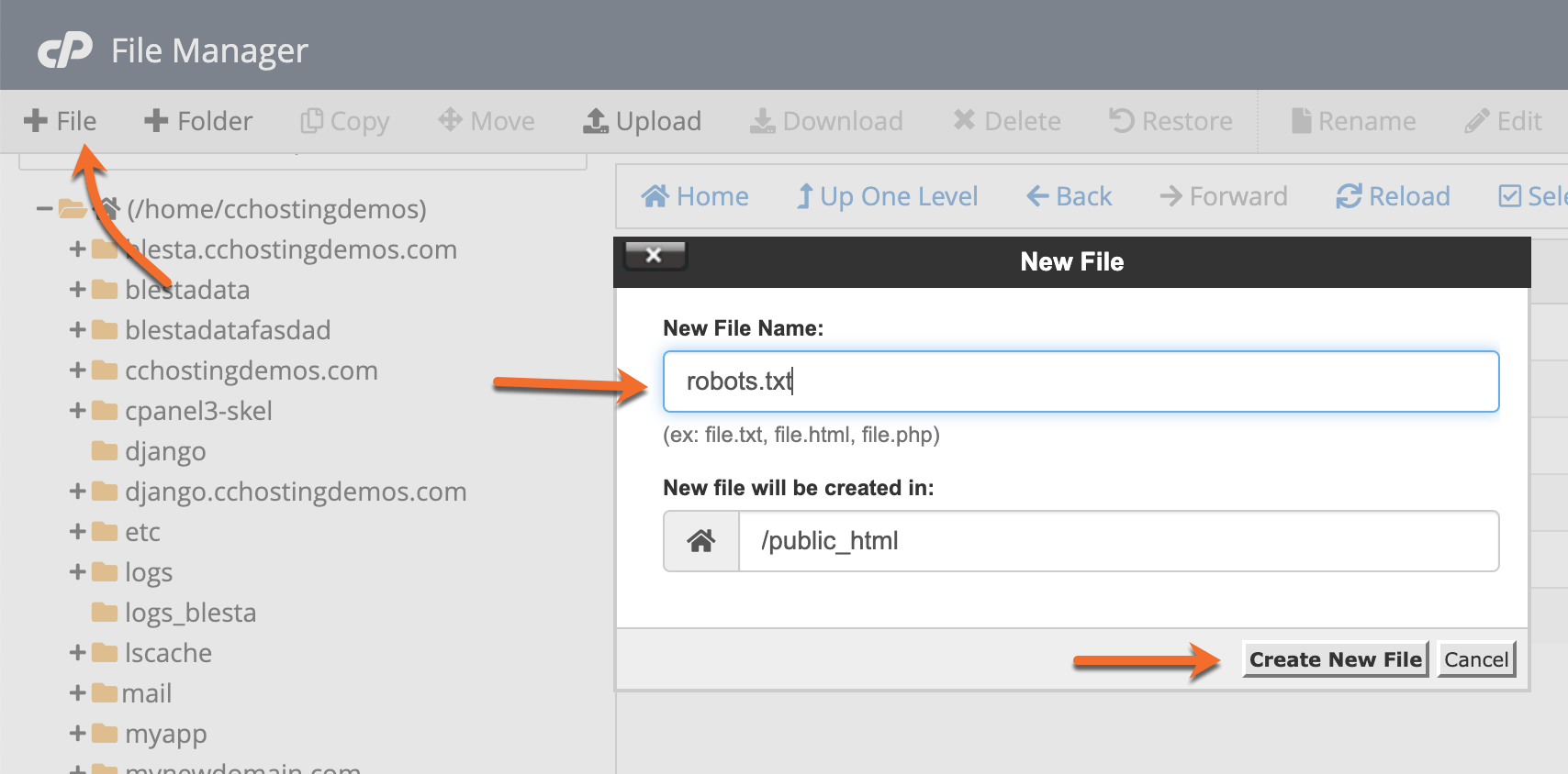 How to Create a robots.txt File in cPanel