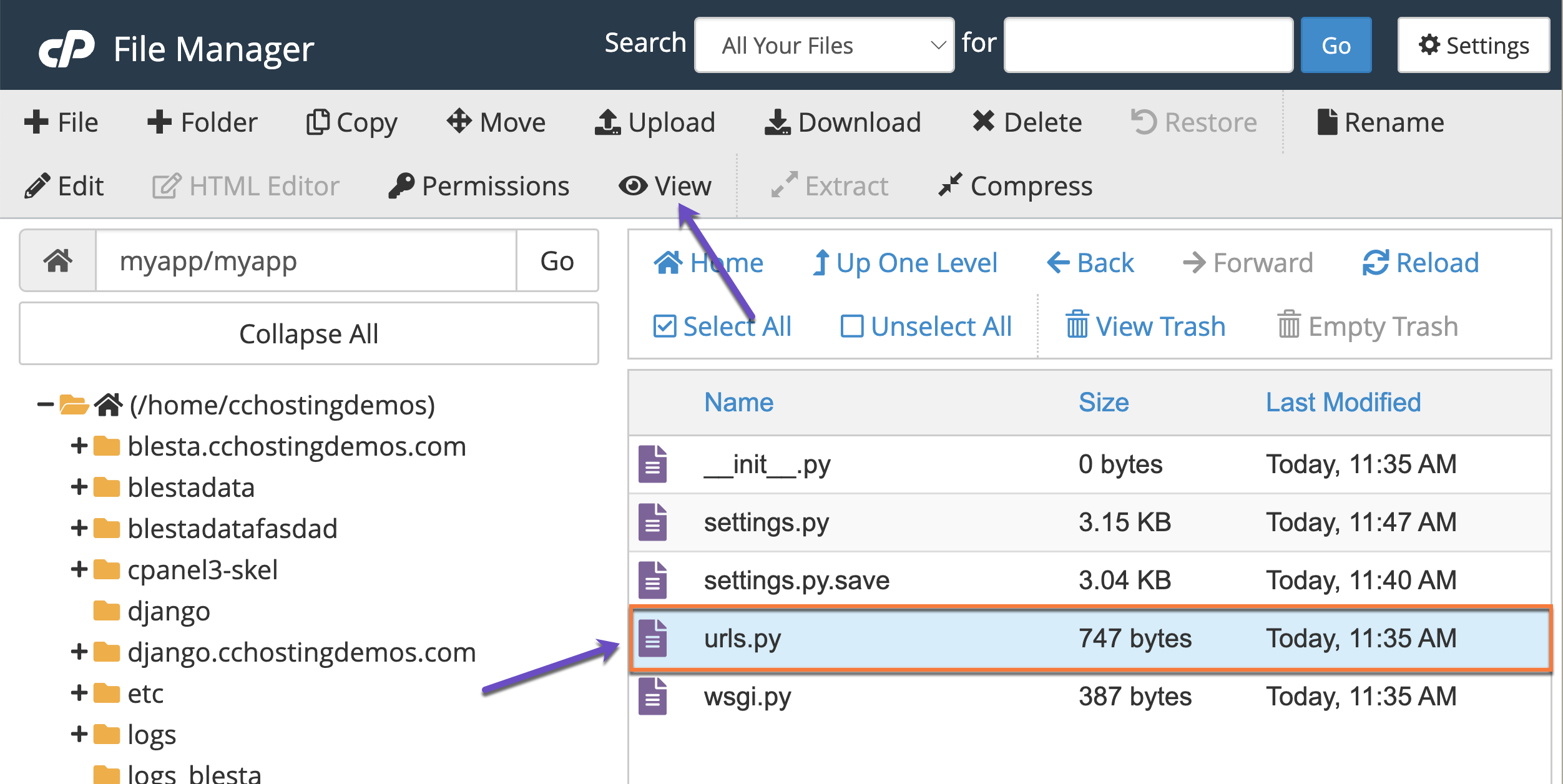 How to View or Edit a File Using cPanel's File Manager