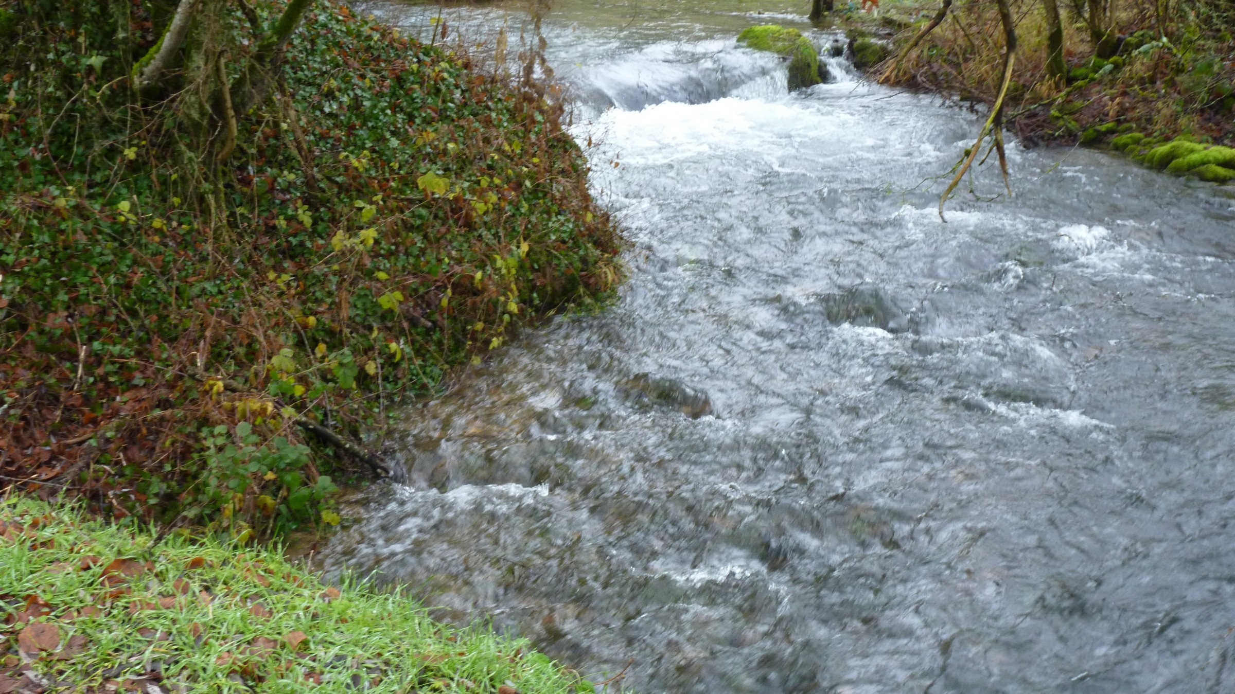 Rivière la Coulange. Sources et cascades. Chemins de l'eau