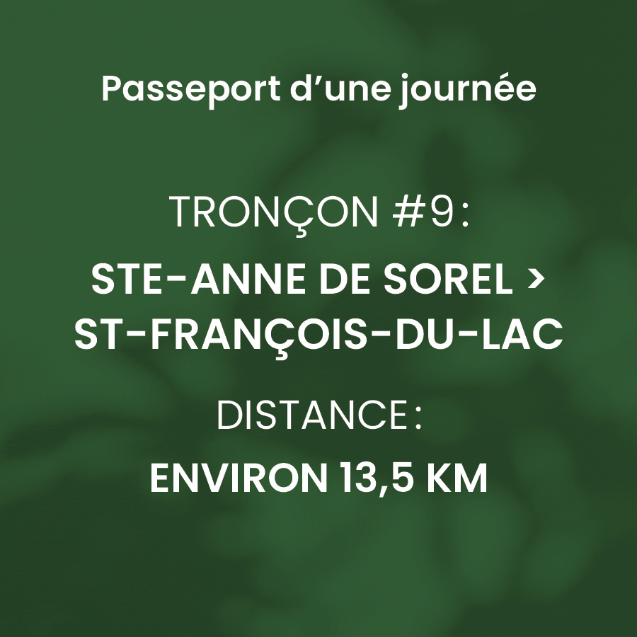 Tronçon 9 SteAnne de Sorel > StFrançoisduLac Le Chemin du Lac