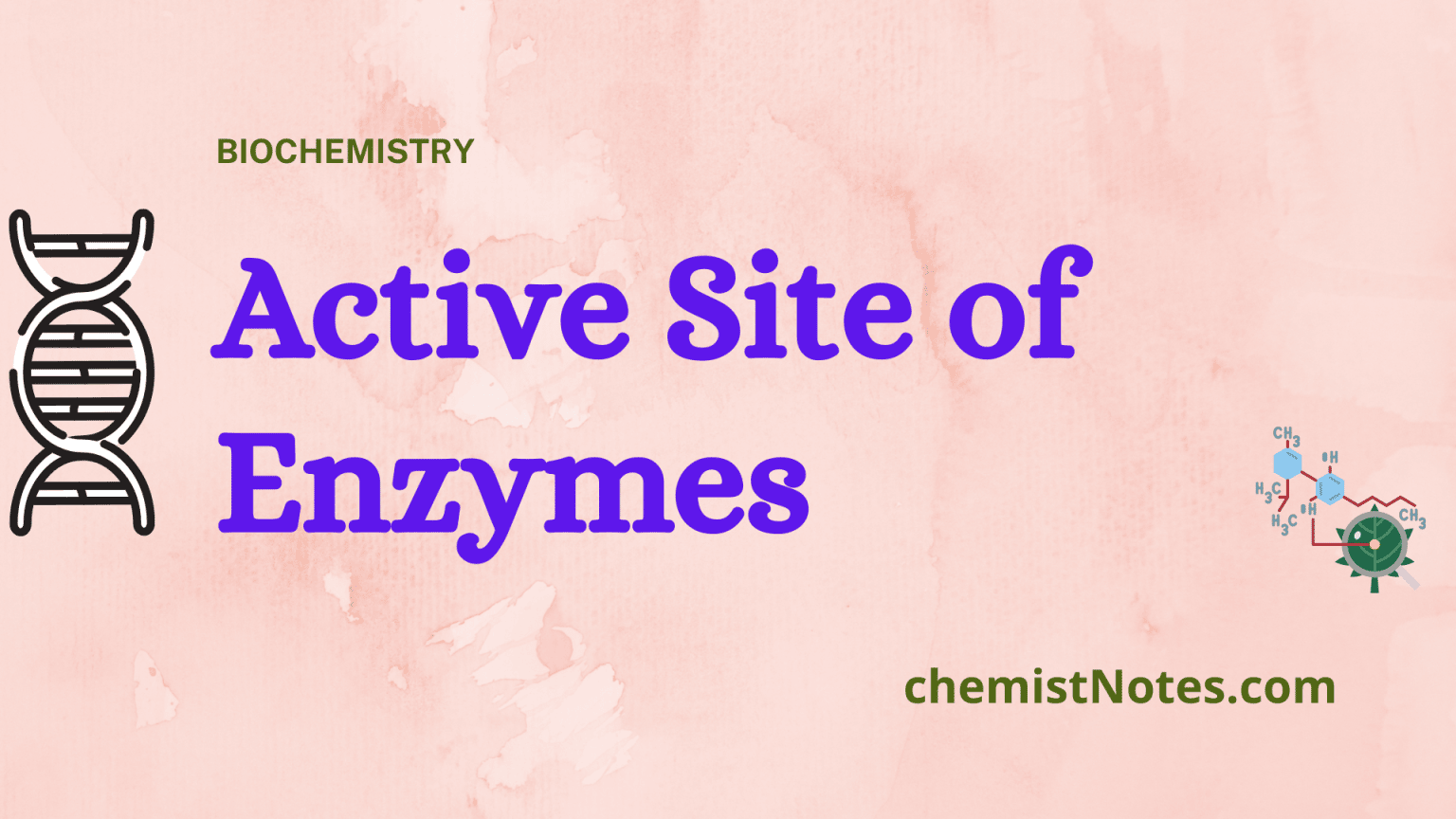 what is active site of enzyme? Chemistry Notes