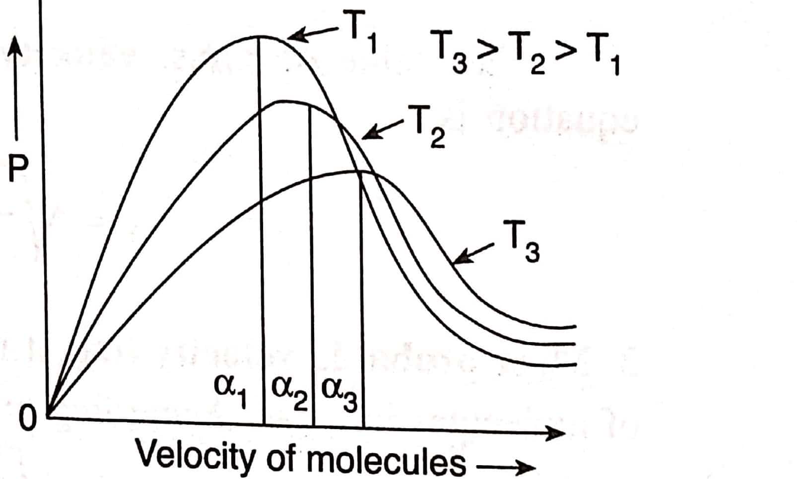 Maxwell Distribution of Molecular Velocities Equation, and Features