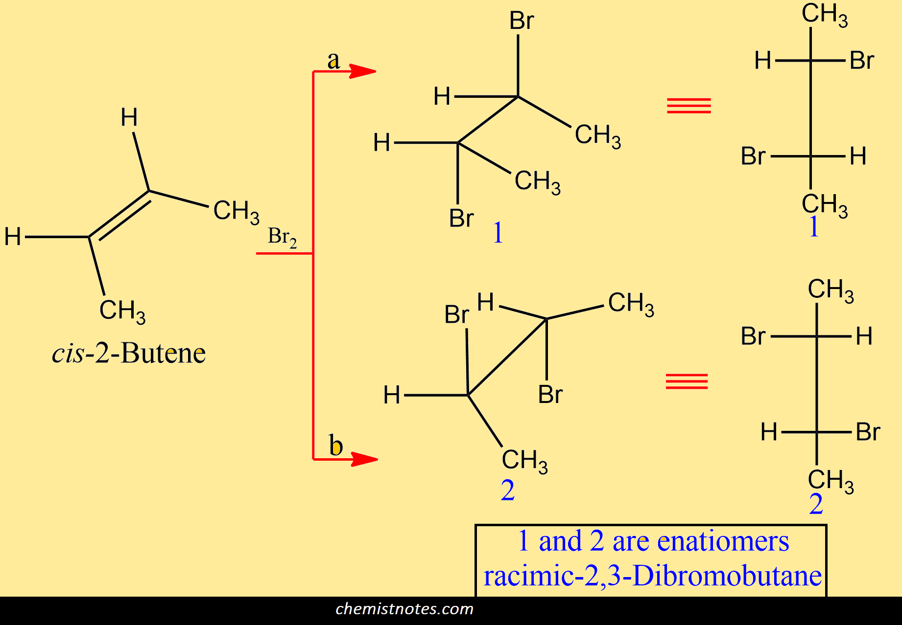 Stereoselective reactions and stereospecific reactions Definition and