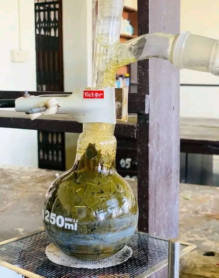 Essential oil Definition, Preparation, and 5 Reliable Uses Chemistry