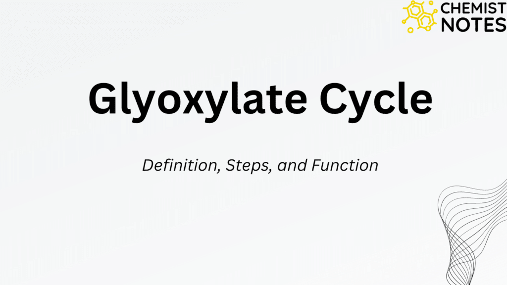 Protein Definition, Structure, and Classification Chemistry Notes