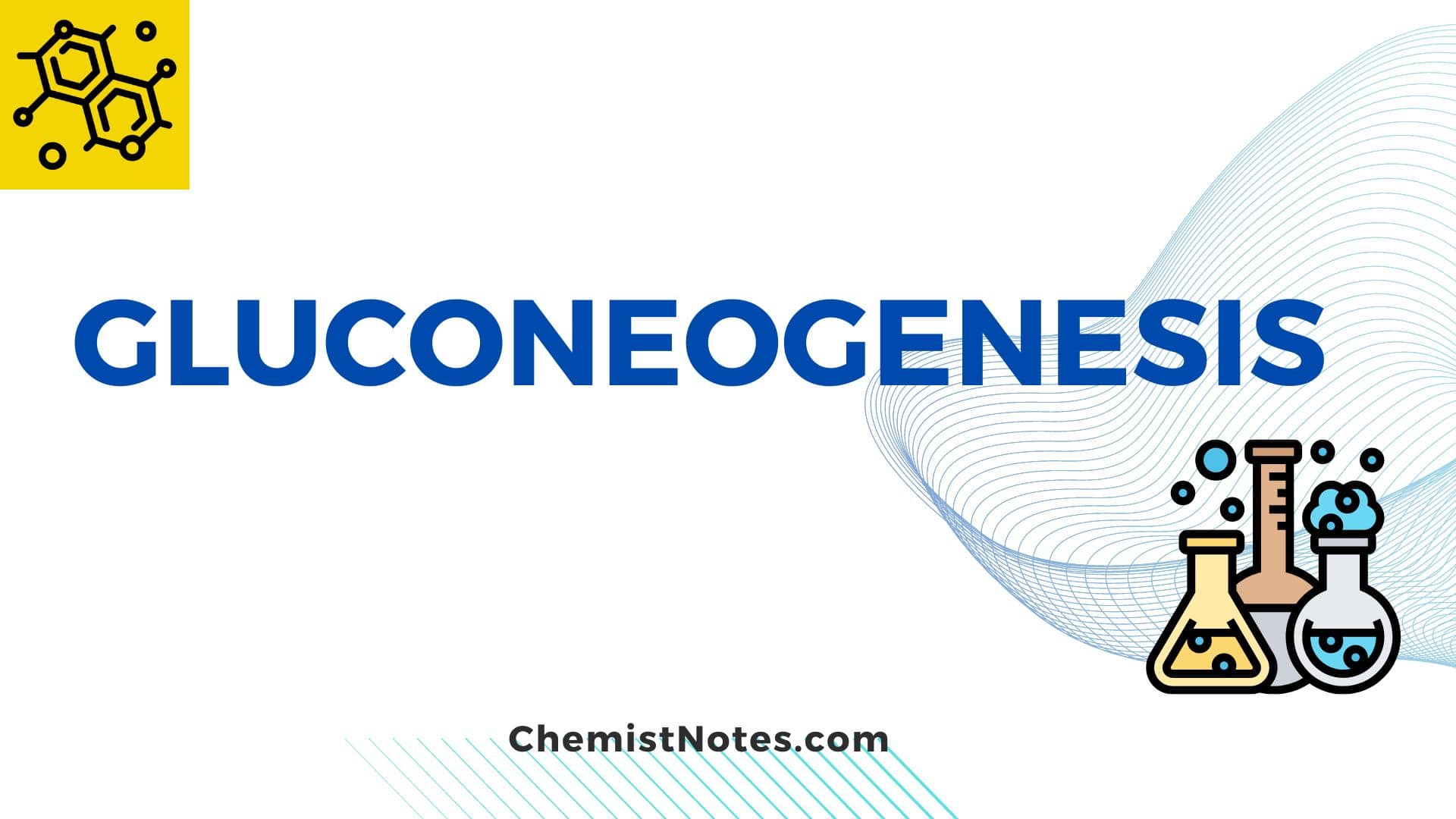 Gluconeogenesis Easy definition, substrate, 8 steps, regulation