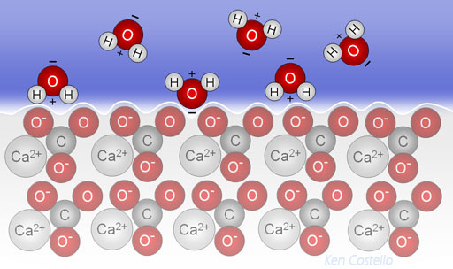 Is Calcium Carbonate Soluble In Water Water Ionizer