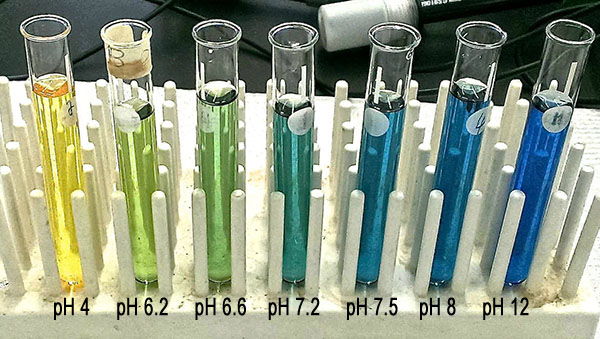 Bromothymol blue experiment results report