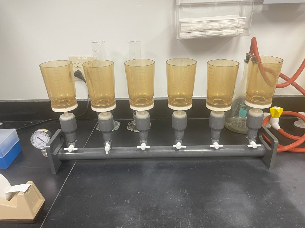 What is Vacuum Filtration? ChemTalk