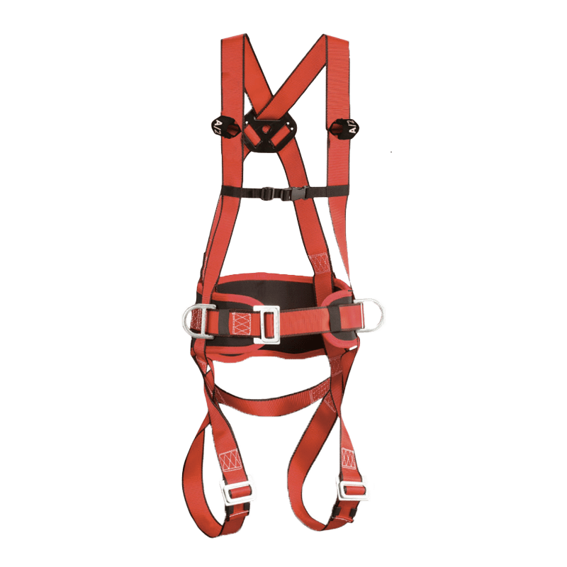 FALL ARREST HARNESS MAXIPRO WITH 2 FIXING POINTS Chemitool
