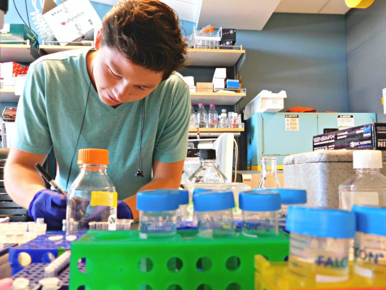 Stanford Chemical and Systems Biology Stanford Medicine » Ph.D. Program