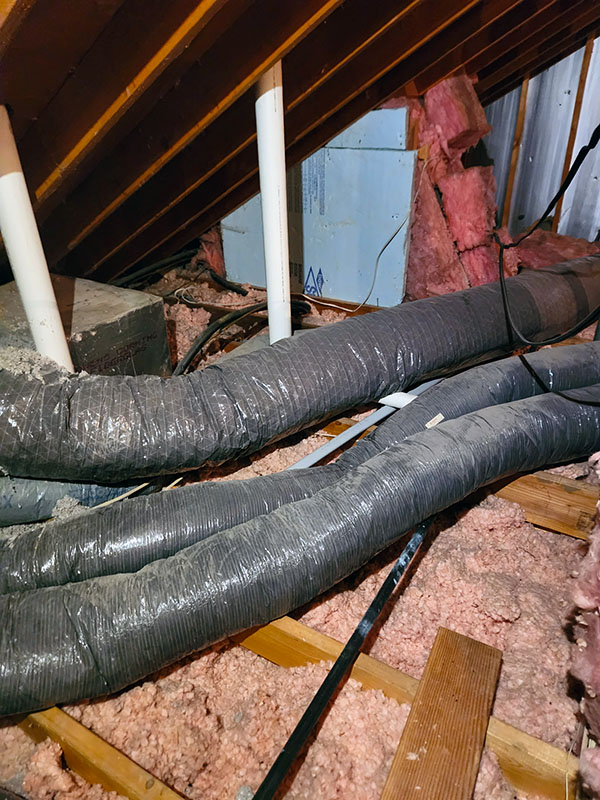 Insulation Encapsulation ChemTech Termite & Pest Control