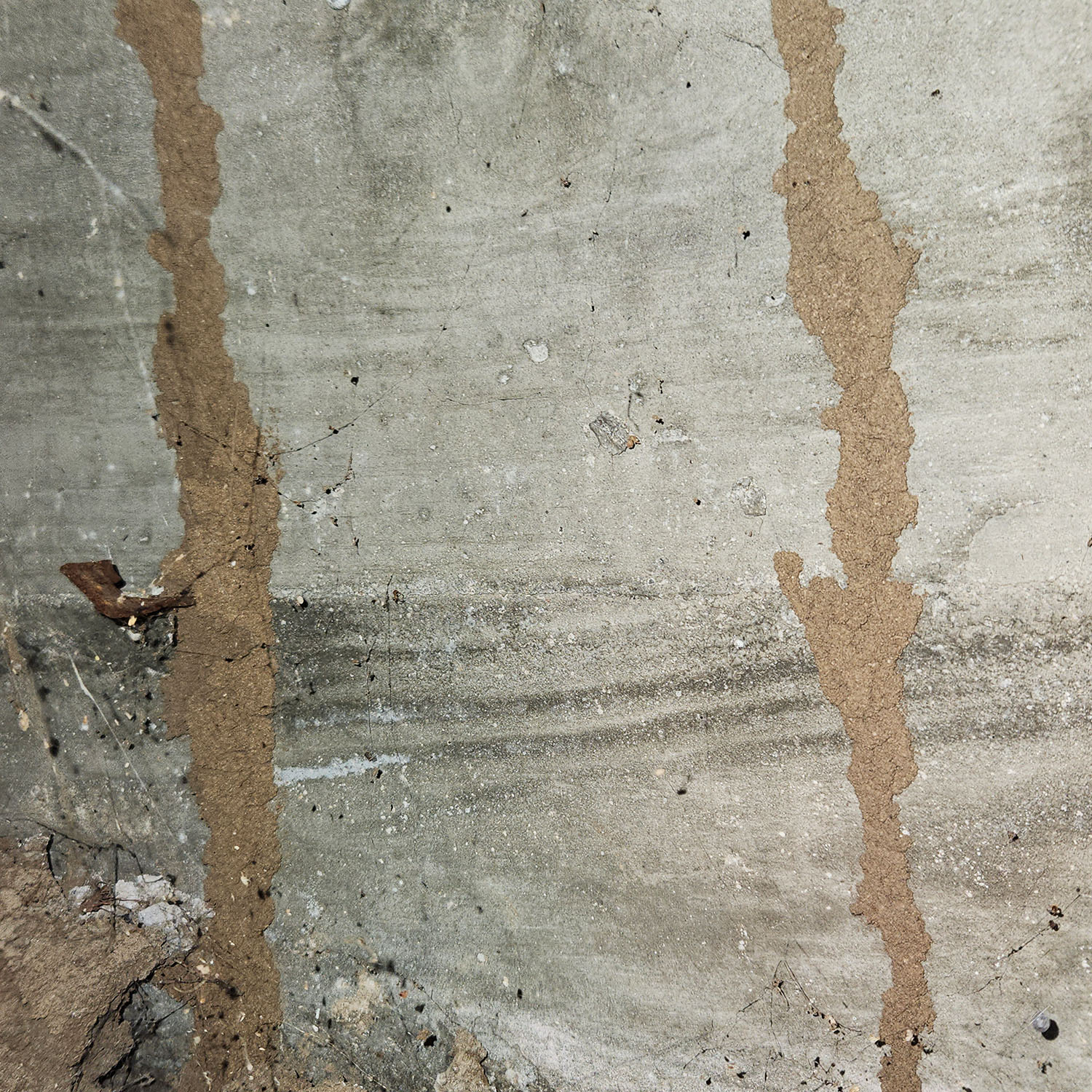 Termites ChemTech Termite & Pest Control