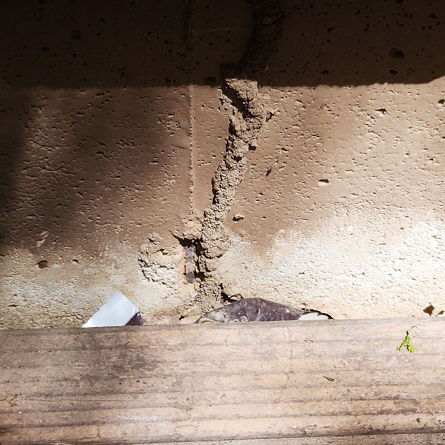 Termites ChemTech Termite & Pest Control