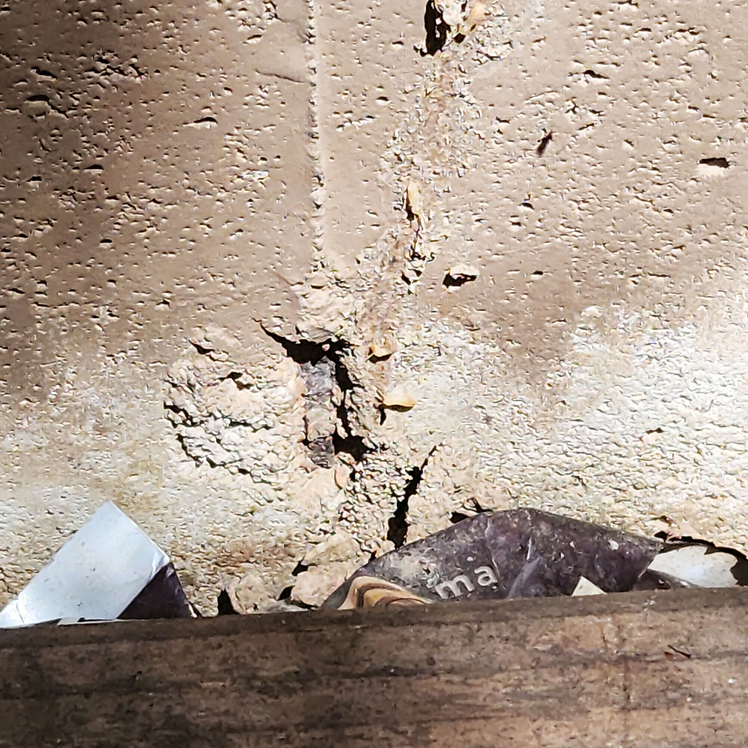 Termites ChemTech Termite & Pest Control