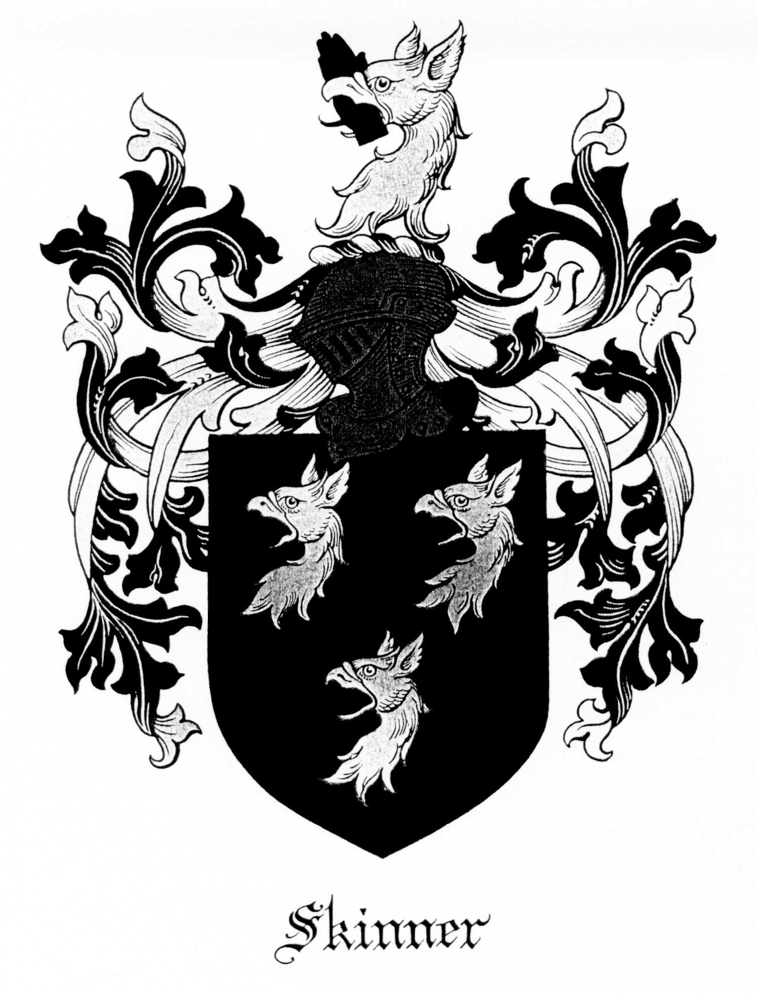 Goff Skinner family photos