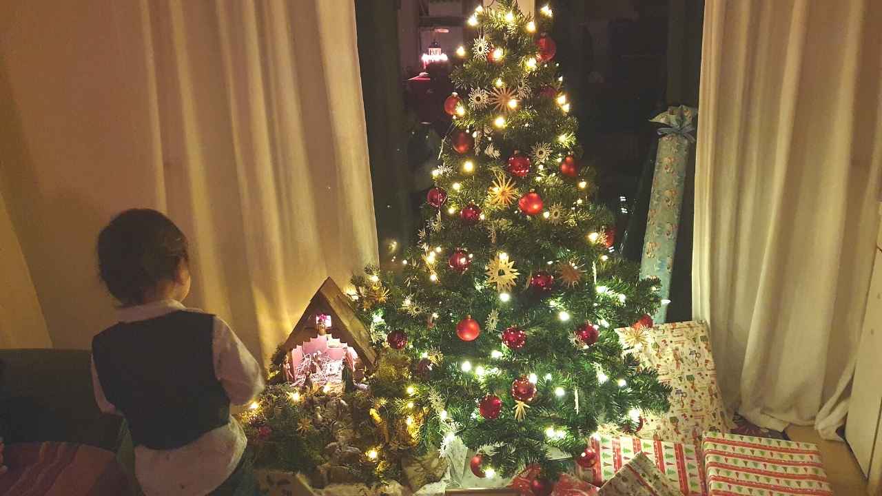 How to celebrate Christmas in Germany (Christmas Tree Tradition