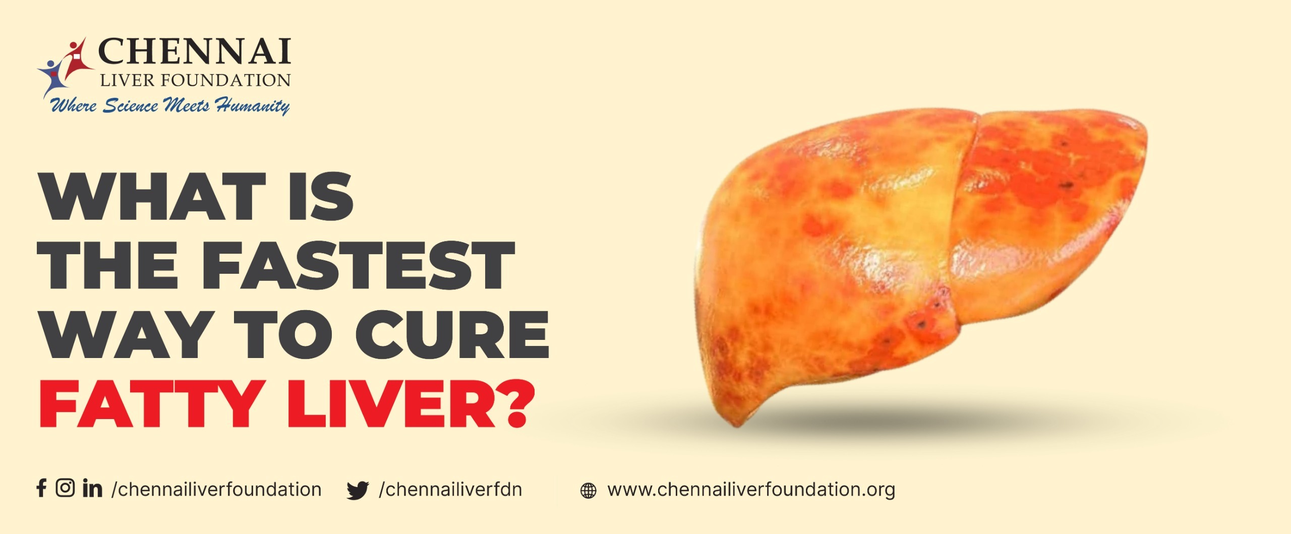What is the Fastest Way to Cure Fatty Liver? Chennai Liver Foundation