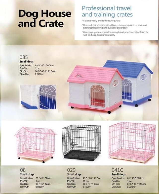 Cats & Dogs Chennai Pets Corner