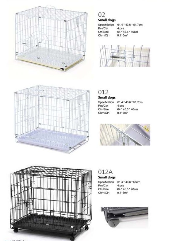 Cats & Dogs Chennai Pets Corner