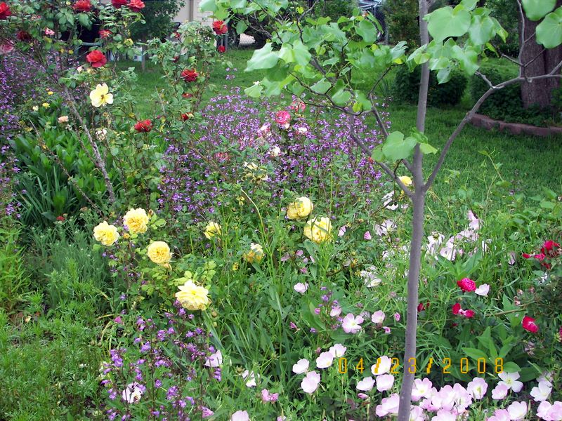 100_2023 Cheree's Gardens