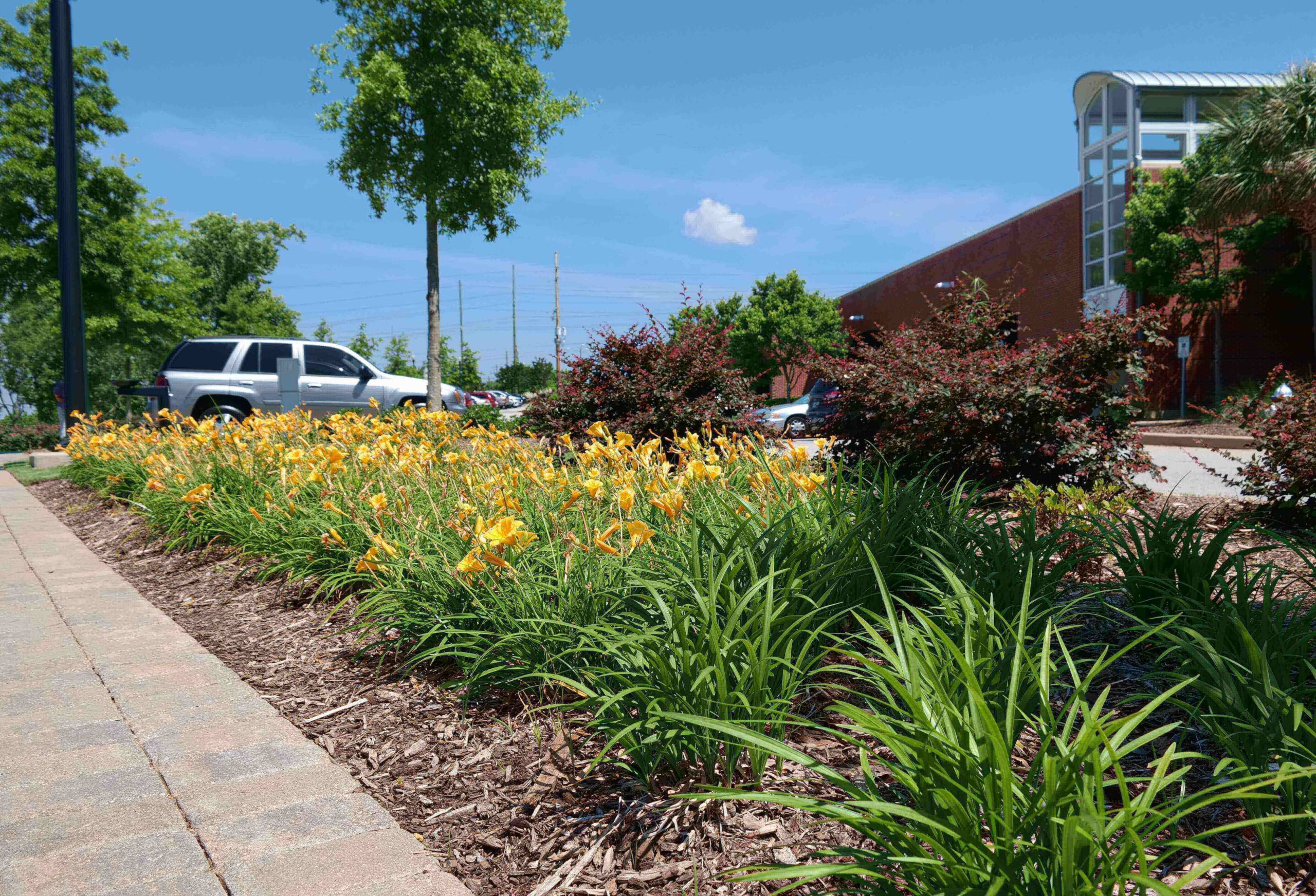 Parks & Recreation Cherokee, Inc.