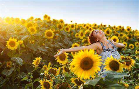 How to Feel Happy - Cherry Blossom Mindset