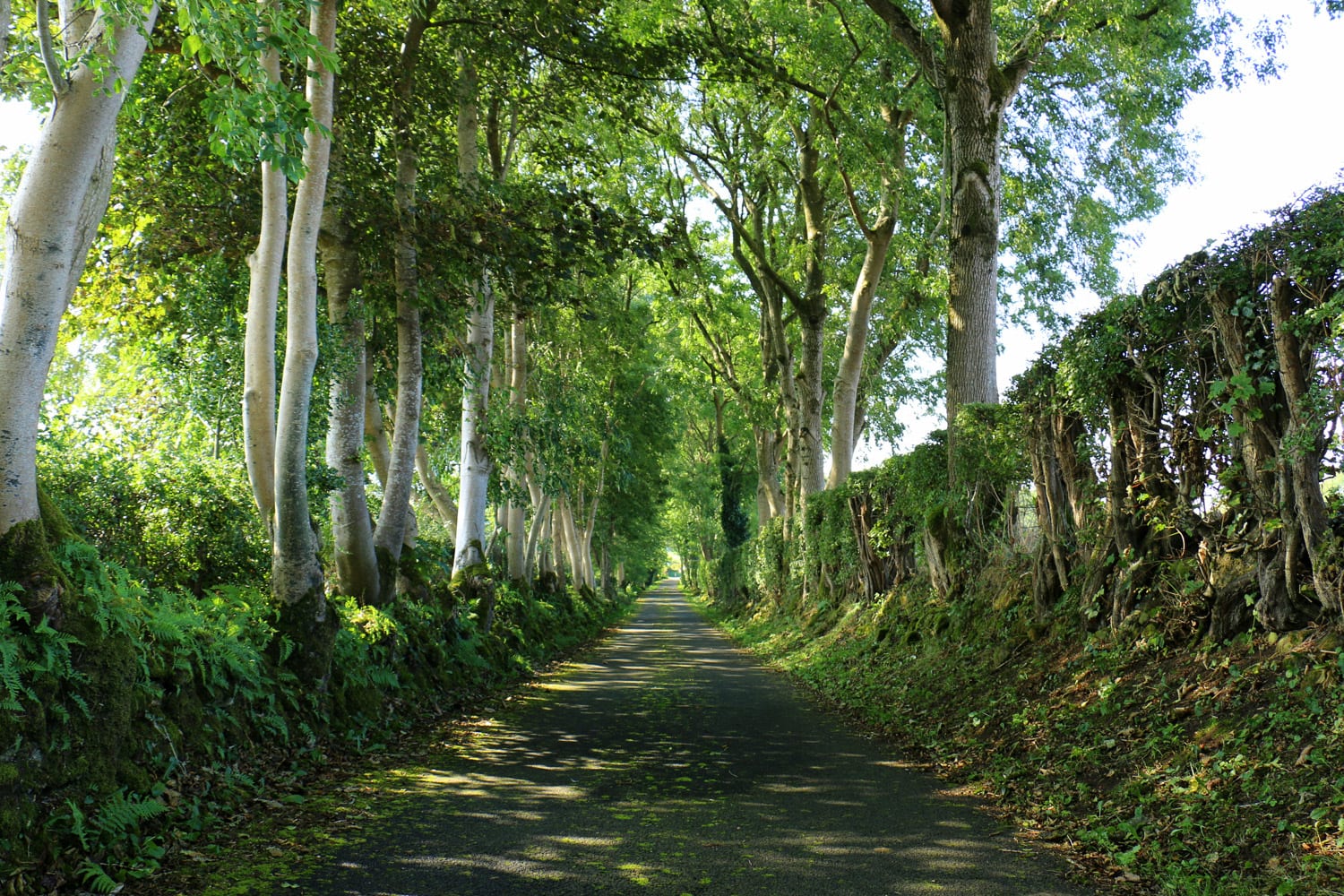 Get Directions Cherrybrook Self Catering Antrim