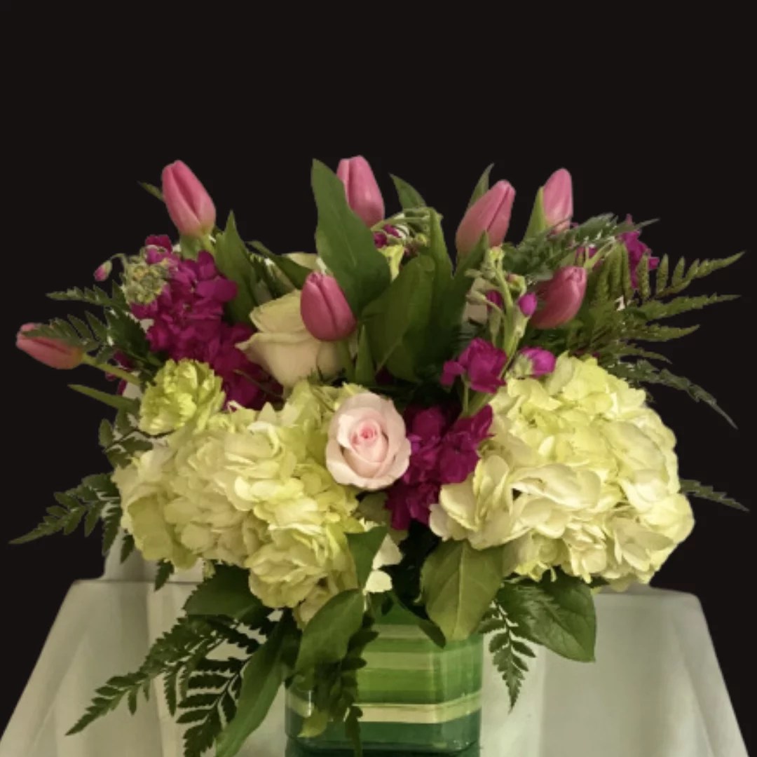 Springtime Song SPR1542 Cherryhill Flowers