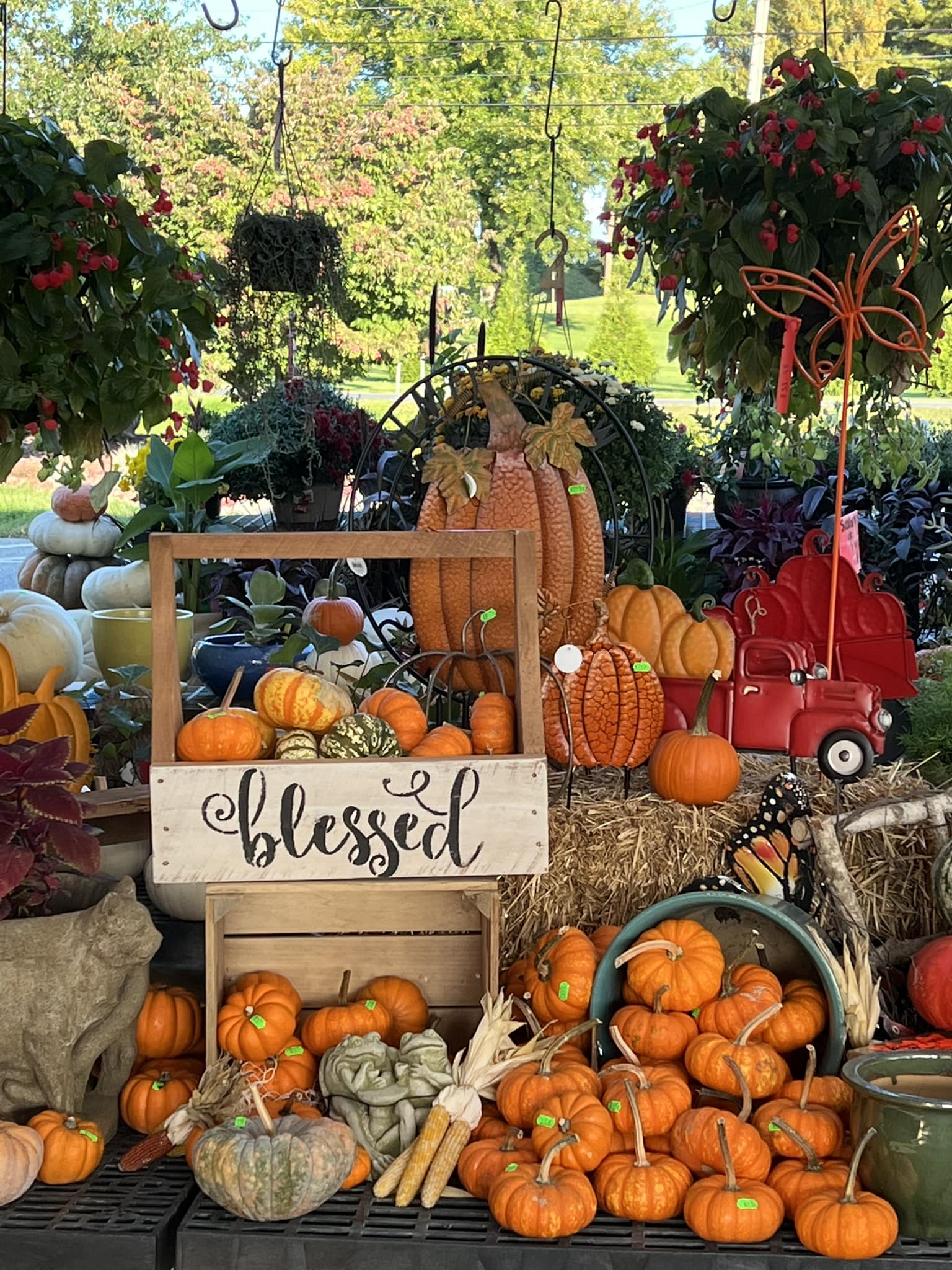 Garden Center Cherry Hill Orchards