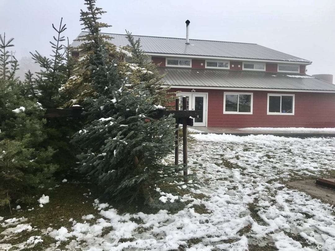 CHRISTMAS TREE FARMS SPOKANE, WASHINGTON